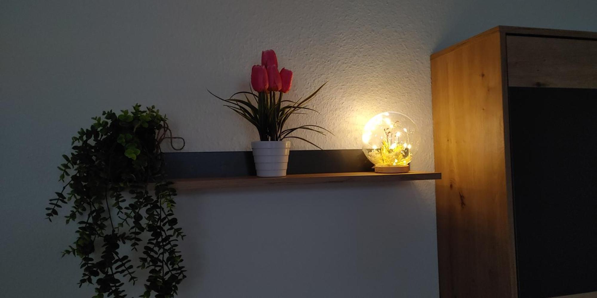 Apartment Bei Charlotte *